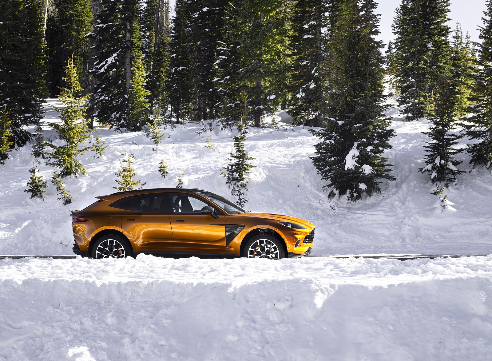 2021 Aston Martin DBX (Golden Saffron; US-Spec) Side Wallpapers (11)