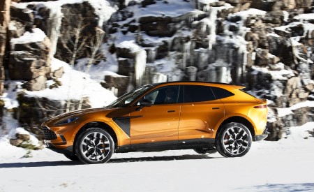2021 Aston Martin DBX (Golden Saffron; US-Spec) Side Wallpapers 450x275 (34)