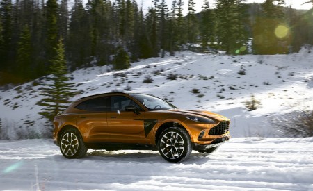 2021 Aston Martin DBX (Golden Saffron; US-Spec) Side Wallpapers 450x275 (23)
