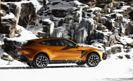 2021 Aston Martin DBX (Golden Saffron; US-Spec) Side Wallpapers  450x275 (35)