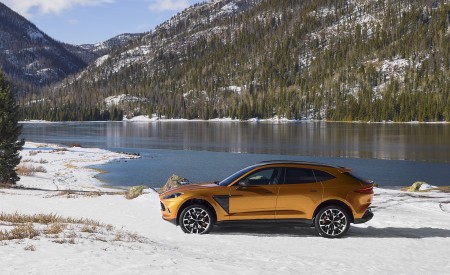 2021 Aston Martin DBX (Golden Saffron; US-Spec) Side Wallpapers 450x275 (36)