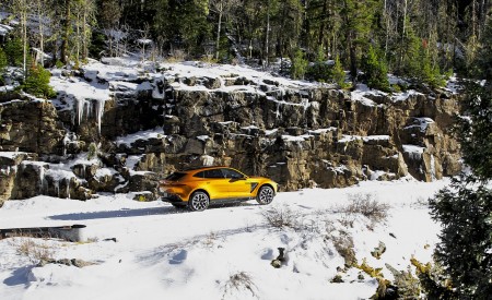 2021 Aston Martin DBX (Golden Saffron; US-Spec) Side Wallpapers 450x275 (24)