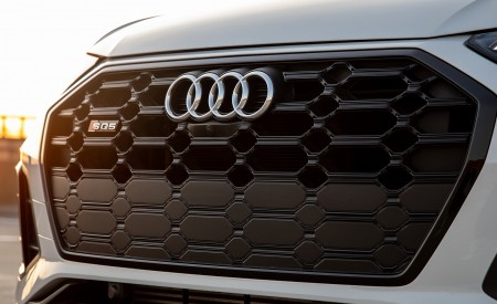 2021 Audi SQ5 (US-Spec) Grill Wallpapers  450x275 (29)