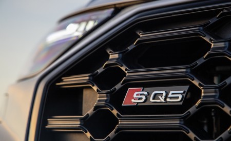 2021 Audi SQ5 (US-Spec) Grill Wallpapers 450x275 (31)