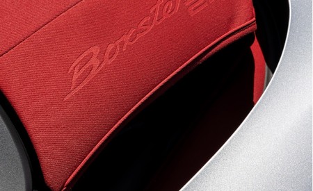 2021 Porsche 718 Boxster GTS 4.0 25 Years (Color: GT Silver) Detail Wallpapers 450x275 (65)