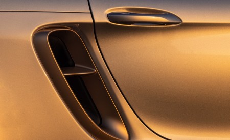2021 Porsche 718 Boxster GTS 4.0 25 Years (Color: GT Silver) Side Vent Wallpapers 450x275 (70)