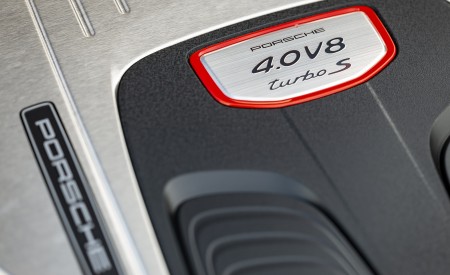 2021 Porsche Panamera Turbo S (Color: Papaya Metallic) Engine Wallpapers 450x275 (92)