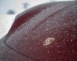 2021 Porsche Taycan (Color: Cherry Metallic) Detail Wallpapers 150x120