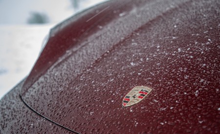 2021 Porsche Taycan (Color: Cherry Metallic) Detail Wallpapers 450x275 (118)