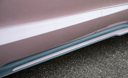 2021 Porsche Taycan (Color: Frozen Berry Metallic) Detail Wallpapers  450x275 (183)