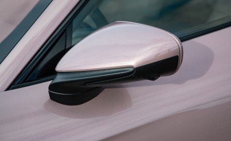 2021 Porsche Taycan (Color: Frozen Berry Metallic) Mirror Wallpapers 450x275 (180)