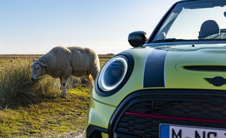 2022 MINI Convertible Headlight Wallpapers 450x275 (54)