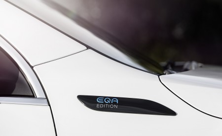 2022 Mercedes-Benz EQA EQA 250 Edition 1 (Color: Digital White) Detail Wallpapers  450x275 (35)