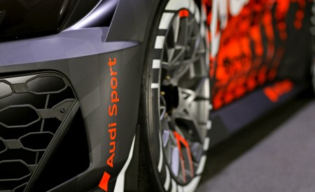 2021 Audi RS 3 LMS Detail Wallpapers  450x275 (19)