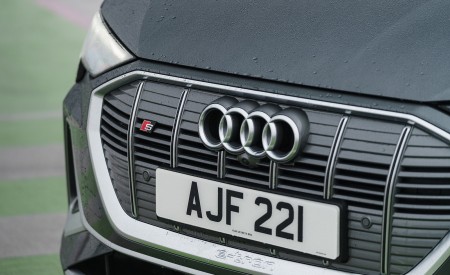 2021 Audi e-tron S Sportback (UK-Spec) Grill Wallpapers 450x275 (60)