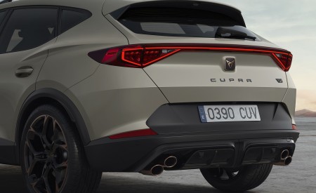 2022 Cupra Formentor VZ5 (Color: Tayga Grey) Rear Wallpapers 450x275 (11)