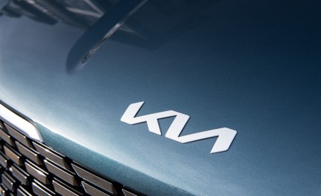 2022 Kia Carnival Detail Wallpapers  450x275 (20)