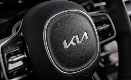 2022 Kia Carnival Interior Steering Wheel Wallpapers 450x275 (28)