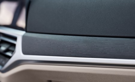 2021 BMW 4 Series Convertible Interior Detail Wallpapers 450x275 (141)