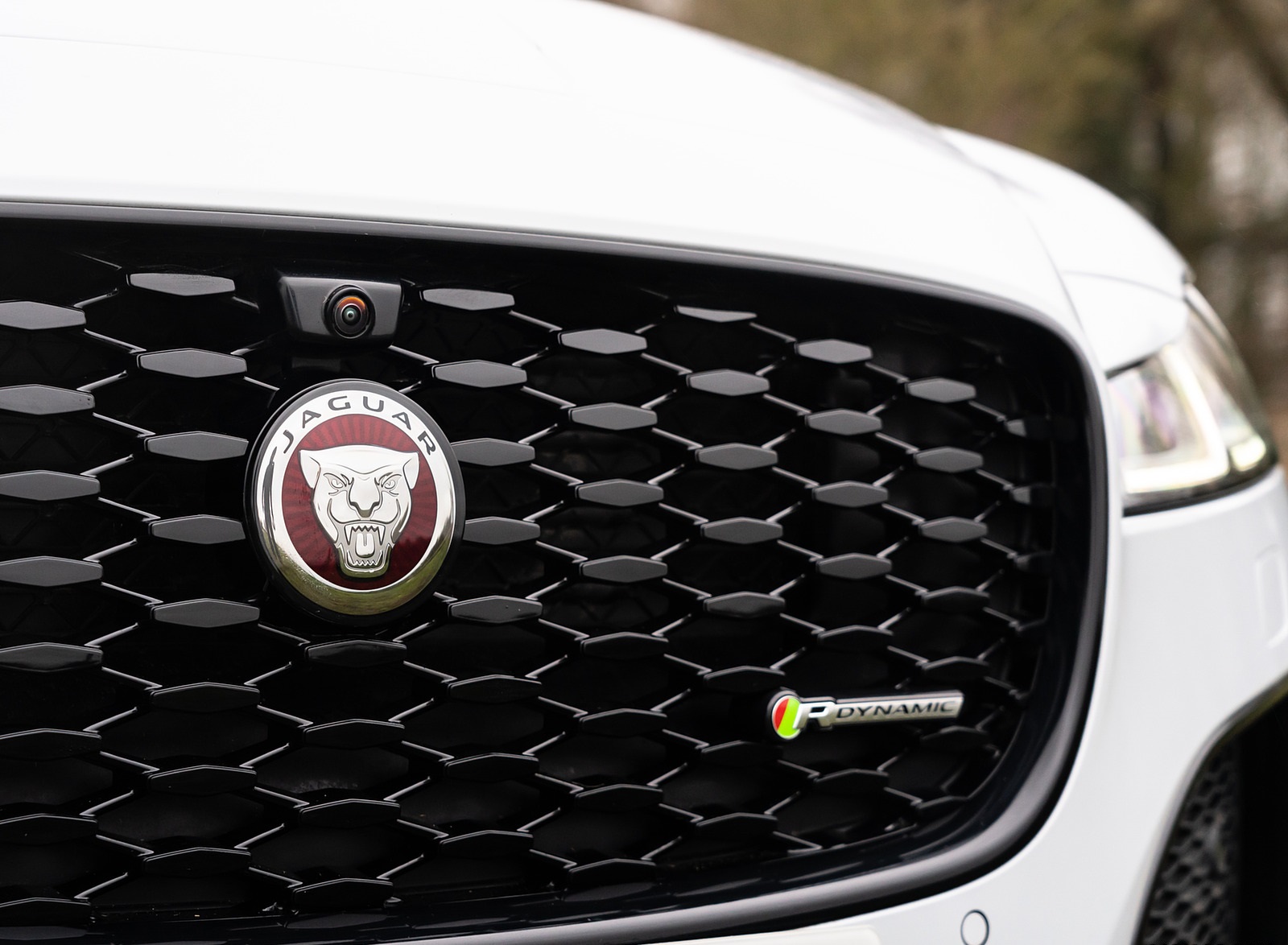 2021 Jaguar XF P300 R-Dynamic SE Grill Wallpapers #16 of 30
