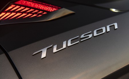 2022 Hyundai Tucson N Line Badge Wallpapers 450x275 (21)