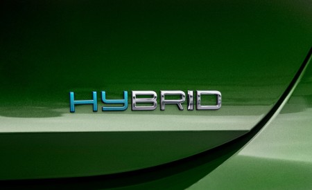 2022 Peugeot 308 PHEV Badge Wallpapers  450x275 (27)