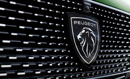2022 Peugeot 308 PHEV Grill Wallpapers 450x275 (20)