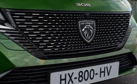 2022 Peugeot 308 PHEV Grill Wallpapers 450x275 (21)