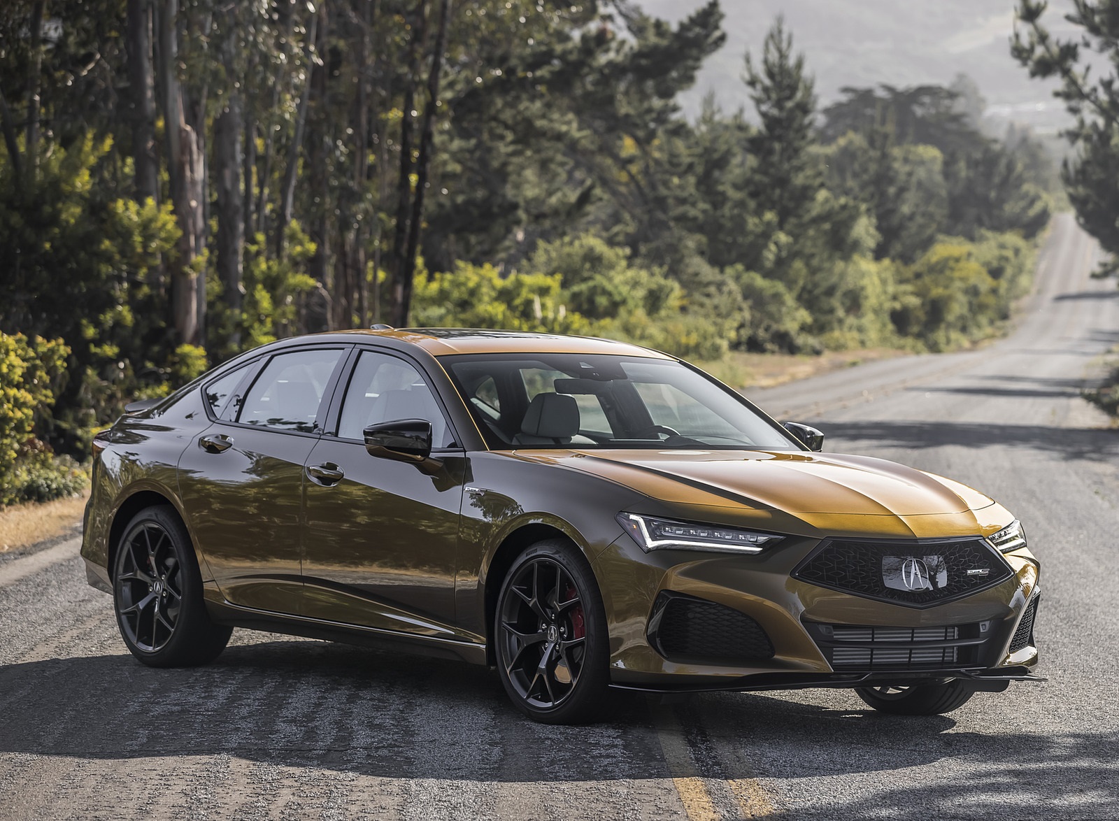 2021 Acura TLX Type S Front Three-Quarter Wallpapers  #23 of 95