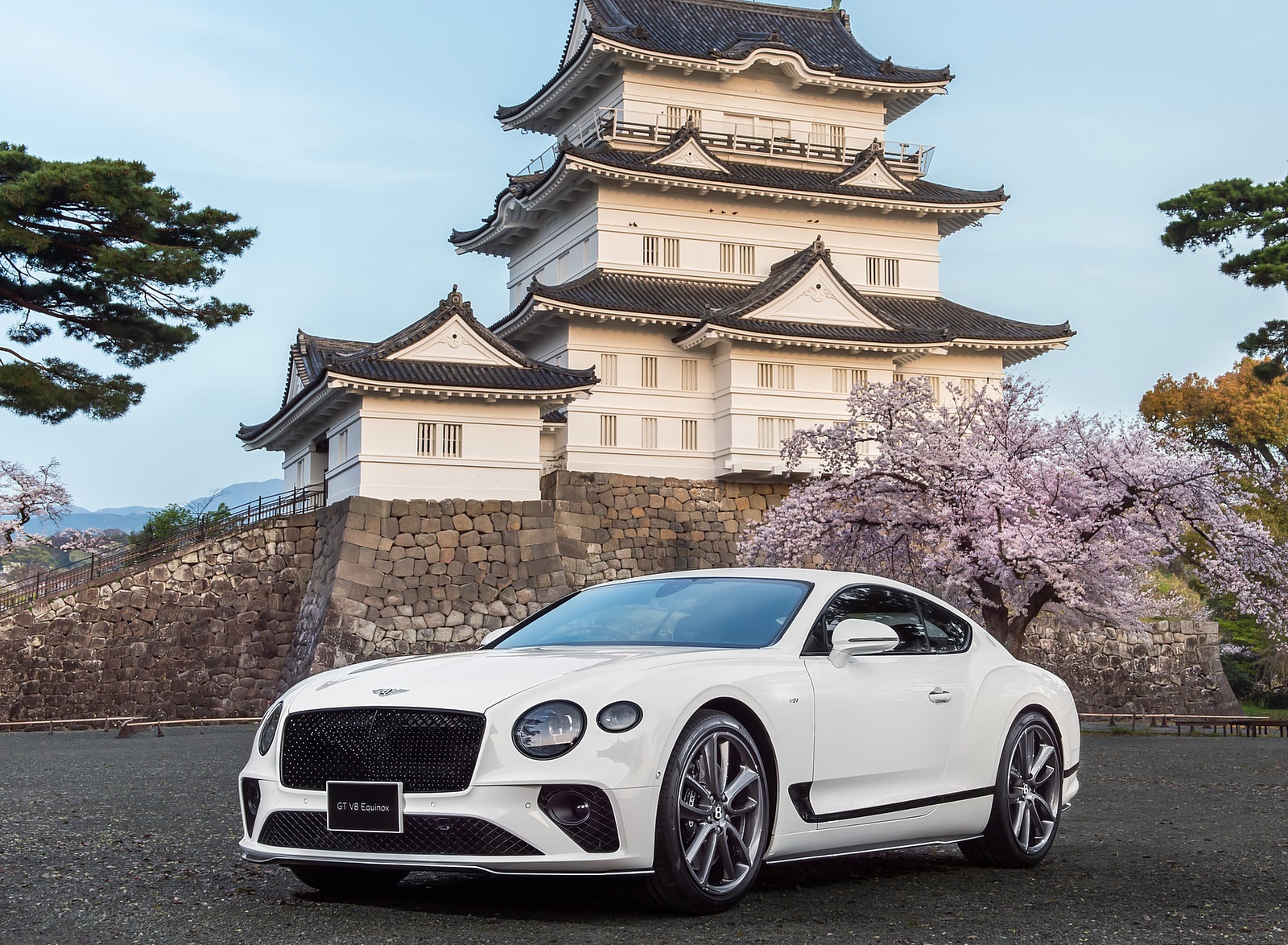 2021 Bentley Continental GT V8 Equinox Edition Front Three-Quarter Wallpapers (1)