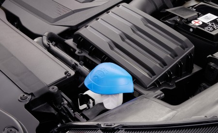 2021 Škoda Kodiaq Detail Wallpapers 450x275 (59)