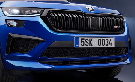 2021 Škoda Kodiaq RS Grill Wallpapers 450x275 (9)