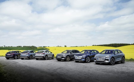 2022 Audi Q4 e-tron Wallpapers 450x275 (56)