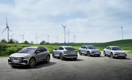 2022 Audi Q4 e-tron Wallpapers  450x275 (53)