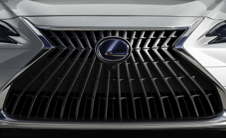 2022 Lexus ES Grill Wallpapers 450x275 (32)