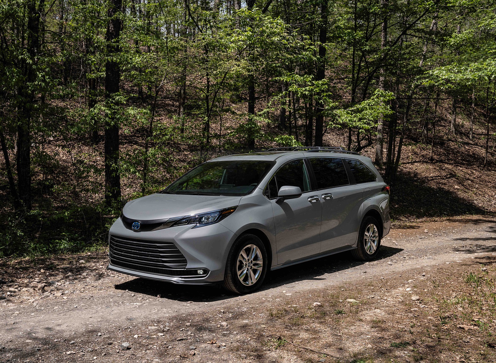 2022 Toyota Sienna Woodland Special Edition Front Three-Quarter Wallpapers #9 of 22