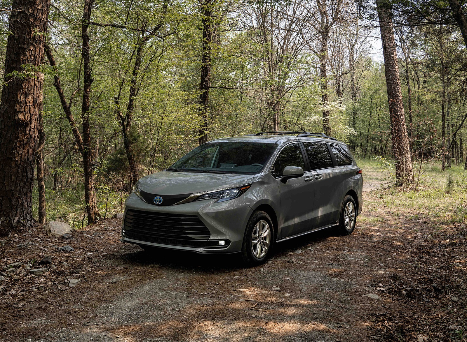 2022 Toyota Sienna Woodland Special Edition Front Three-Quarter Wallpapers #10 of 22