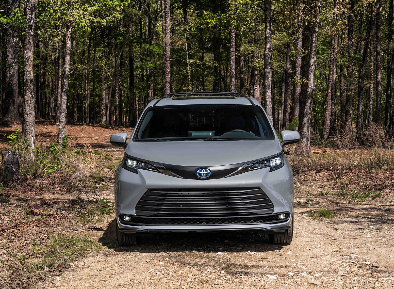 2022 Toyota Sienna Woodland Special Edition Front Wallpapers #5 of 22