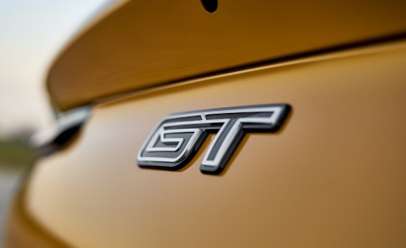 2021 Ford Mustang Mach-E GT Badge Wallpapers 450x275 (28)