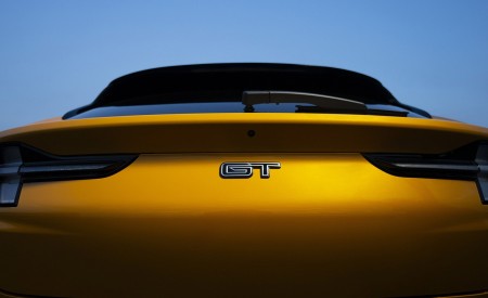 2021 Ford Mustang Mach-E GT Detail Wallpapers 450x275 (26)