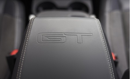 2021 Ford Mustang Mach-E GT Interior Detail Wallpapers  450x275 (36)