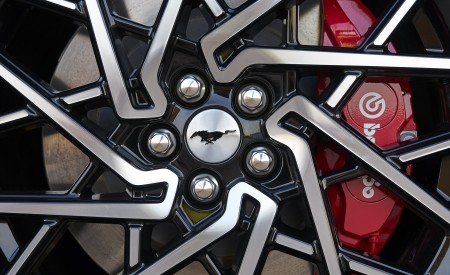 2021 Ford Mustang Mach-E GT Wheel Wallpapers 450x275 (24)