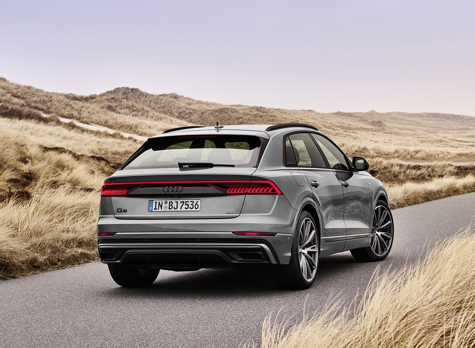 2022 Audi Q8 S Line Competition Plus (Color: Nardo Gray) Rear Wallpapers (7)