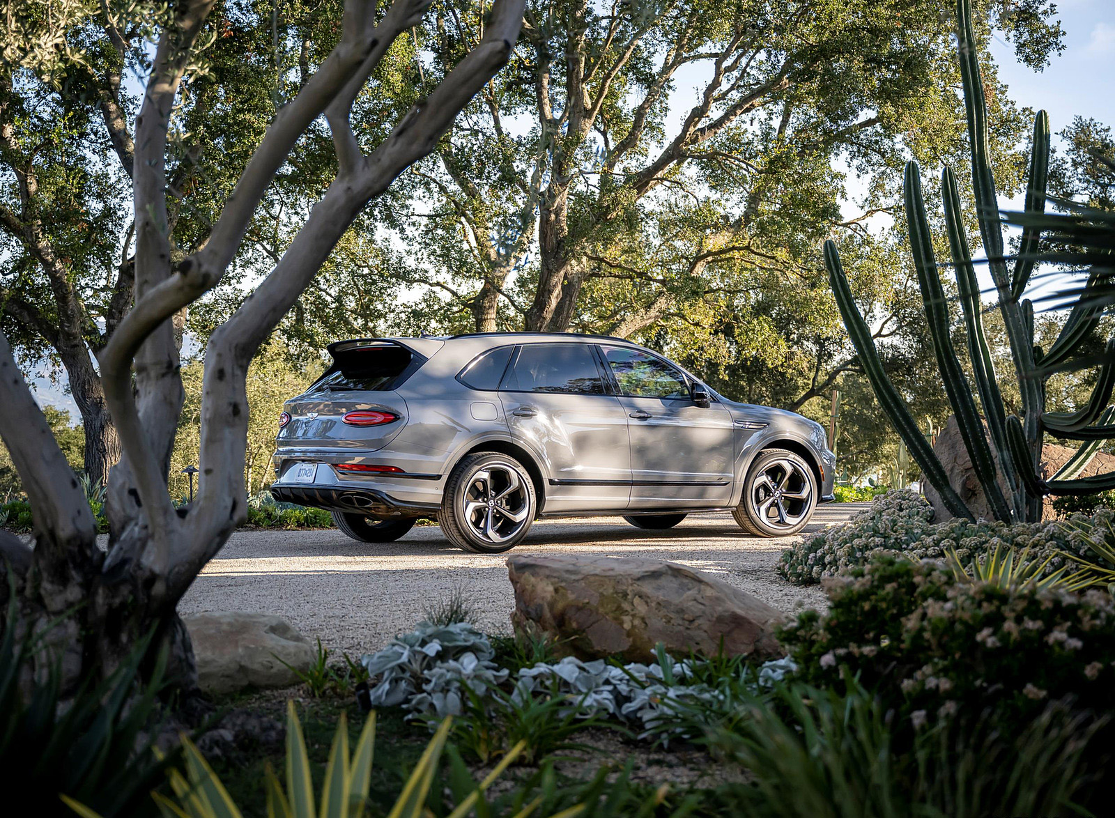 2022 Bentley Bentayga S Rear Three-Quarter Wallpapers  (11)