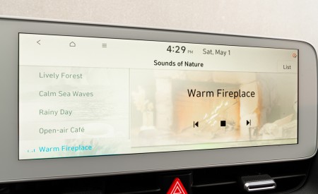 2022 Hyundai Ioniq 5 Central Console Wallpapers 450x275 (202)