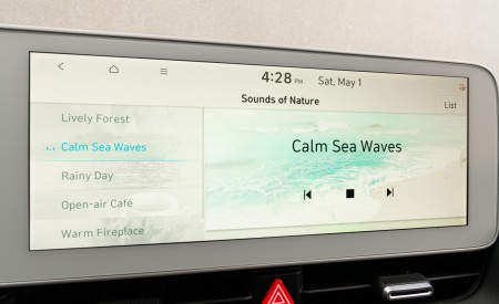 2022 Hyundai Ioniq 5 Central Console Wallpapers 450x275 (200)