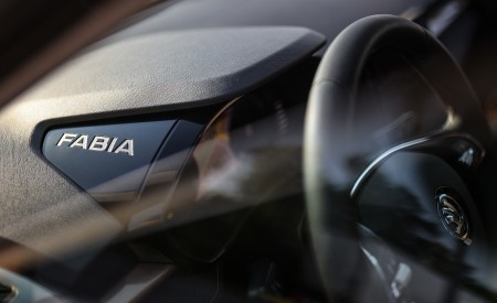 2022 Škoda Fabia Interior Detail Wallpapers 450x275 (62)