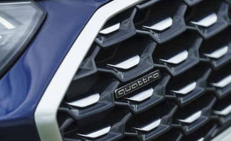 2021 Audi Q5 Sportback (UK-Spec) Grill Wallpapers 450x275 (57)
