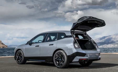 2022 BMW iX xDrive50 Rear Three-Quarter Wallpapers  450x275 (31)