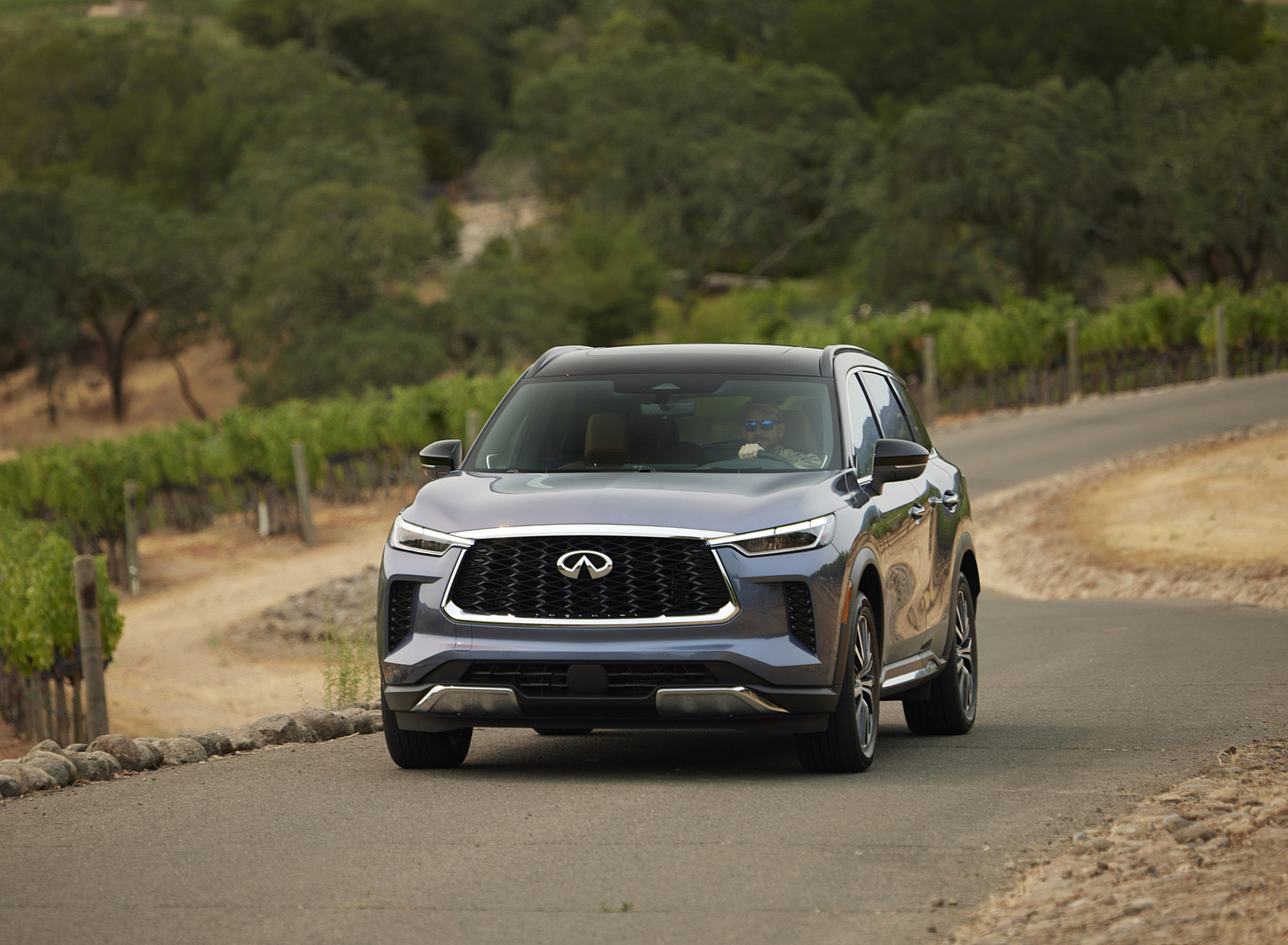 2022 Infiniti QX60 Front Wallpapers (9)